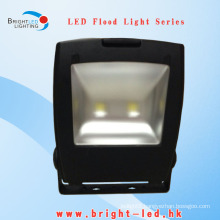 100W 2 Chips LED Flood Lights